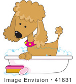 #41631 Clip Art Graphic Of A Bathing Apricot Poodle In A Tub