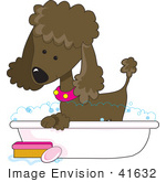 #41632 Clip Art Graphic Of A Bathing Chocolate Poodle In A Tub