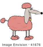 #41676 Clip Art Graphic Of A Prissy Pink Poodle In Profile