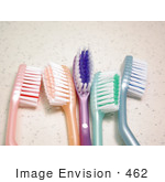 #462 Photograph Of Toothbrushes