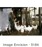 #5184 Stock Photography Of A Researcher Using A Mechanical Aspirator To Collect Mosquitos From Behind A Chicken Coop
