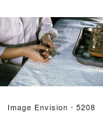 #5208 Stock Photography Of A Laboratory Technician Labeling Vials Of Mosquito Suspension During An Arbovirus Study