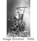 #5302 Cat In A Stroller