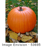 #53695 Royalty-Free Stock Photo Of Fall Pumkin On The Grass