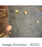 #53721 Royalty-Free Stock Photo Of A Autumn Sidewalk