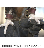 #53802 Royalty-Free Stock Photo Of A Close Up Of An Eagle&Rsquo;S Claws With Harness