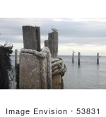 #53831 Royalty-Free Stock Photo Of A Gull On A Beach Post