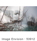 #53912 Royalty-Free Stock Photo Of Niagara Falls In Winter Canadian Side