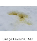 #548 Picture Of Yellow Snow