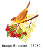 #56280 Royalty-Free (Rf) Clip Artillustration Of An Autumn Bird Perched On A Branch With Berries