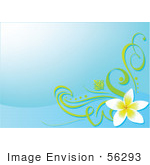 #56293 Royalty-Free (Rf) Clip Art Illustration Of A Blue Background With A Plumeria Flower Corner Accent