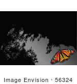 #56324 Royalty-Free (RF) Clip Art Illustration Of A Monarch Butterfly On A Reflective Gray And Black Surface by pushkin