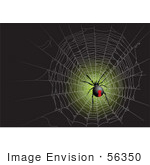 #56350 Royalty-Free (Rf) Clip Art Illustration Of A Black Widow Spider In A Web On Green And Black