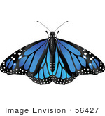 #56427 Royalty-Free (Rf) Clip Art Illustration Of A Spanned Blue Monarch Butterfly
