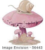 #56443 Clip Art Illustration Of A Snail Wandering On Top Of A Pink Mushroom by pushkin