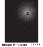 #56468 Royalty-Free (Rf) Clip Art Illustration Of A Black Widow Spider In A Web On Black