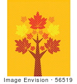 #56519 Royalty-Free (RF) Clip Art Illustration Of A Tall Autumn Maple Tree On Turquoise by pushkin