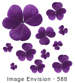 #588 Picture Of Purple Clovers