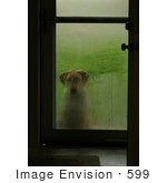 #599 Picture of a Dog Waiting at the Front Door by Kenny Adams