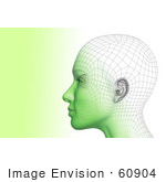 #60904 Royalty-Free (Rf) Illustration Of A Futuristic Wire Frame Female Head Diagram Looking Left - Version 2