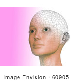 #60905 Royalty-Free (Rf) Illustration Of A Futuristic Wire Frame Female Head Diagram Looking Up And Left - Version 2