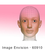 #60910 Royalty-Free (Rf) Illustration Of A Futuristic Wire Frame Female Head Diagram Looking Forward - Version 2