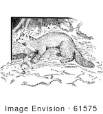 #61575 Clipart Of A Marten In Black And White - Royalty Free Vector Illustration