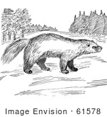 #61578 Clipart Of A Wolverine In A Meadow In Black And White - Royalty Free Vector Illustration