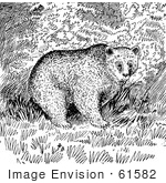 #61582 Clipart Of A Grizzly Bear In The Woods In Black And White - Royalty Free Vector Illustration