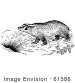 #61586 Clipart Of A Badger By A Den In Black And White - Royalty Free Vector Illustration