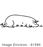 #61590 Clipart Of A Sow Resting Eating In Black And White - Royalty Free Vector Illustration