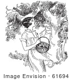 #61694 Clipart Of A Retro Woman Picking Apples From A Tree In Black And White - Royalty Free Vector Illustration