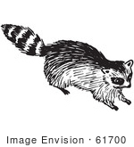 #61700 Clipart Of A Raccoon In Black And White 2 - Royalty Free Vector Illustration