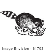 #61703 Clipart Of A Raccoon In Black And White - Royalty Free Vector Illustration