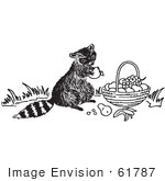 #61787 Clipart Of A Raccoon Eating Fruit From A Basket In Black And White - Royalty Free Vector Illustration