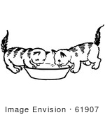 #61907 Clipart Of Two Kittens Drinking From A Saucer In Black And White - Royalty Free Vector Illustration