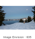 #635 Image Of Evergreens Framing Crater Lake Under A Full Moon