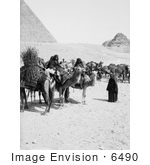 #6490 Bedouin Caravan At The Egyptian Pyramids