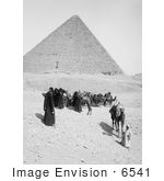 #6541 Caravan Of Bedouins By The Egyptian Pyramids