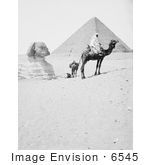 #6545 Men With Camels Near The Great Sphinx And Pyramids