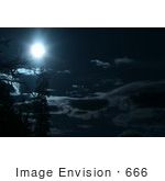 #666 Picture Of The Full Moon With Trees And Clouds