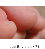 #71 Picture Of Human Toes