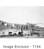 #7154 Stock Image: Sioux Indians Cutting And Drying Meat