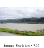 #725 Photograph Of A Feral Cat And The Patterson Bridge Gold Beach