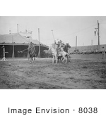 #8038 Picture Of Wild West Polo Coney Island