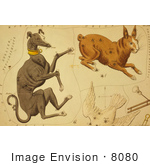 #8080 Picture Of Constellations Of Dog Rabbit Dove