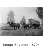 #8724 Picture Of A Horse Drawn Wagon