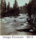 #8810 Picture Of The Truckee River