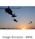 #8856 Picture Of Uh-60 Black Hawk Helicopters