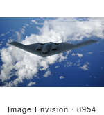 #8954 Picture Of A B-2 Spirit